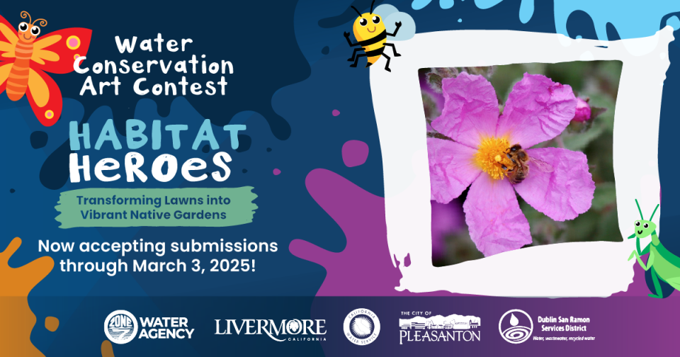 2025 Tri-Valley Water Conservation Art Contest